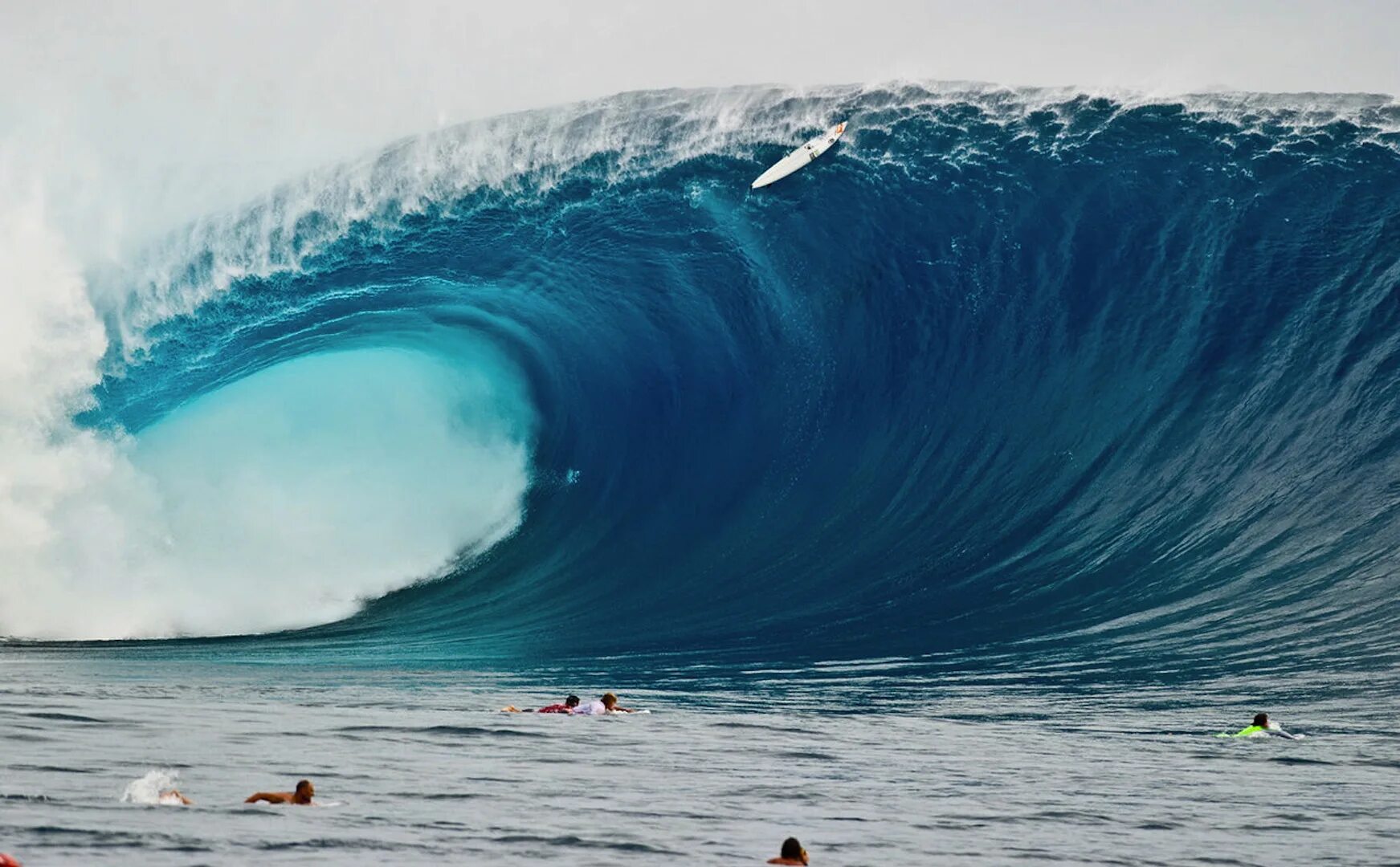 Сами больше море в мире. Маверик волна серфинг. Биг Вейв серфинг. Высокие волны. Огромные волны.
