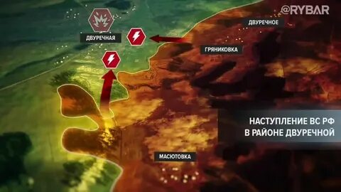 Бои за синьковку 2023