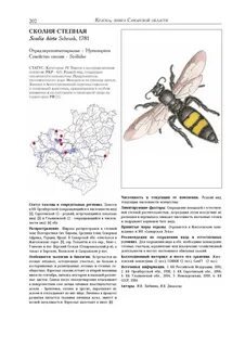 Самарская область книга