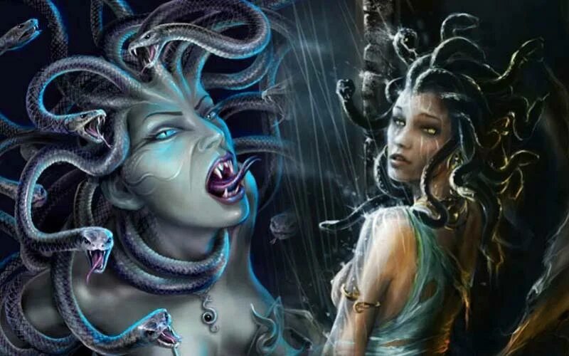 горгона тебе не пойдет каре юмор. горгоны читать. персей и медуза горгона миф. медуза горгона приколы. горгона смешная.