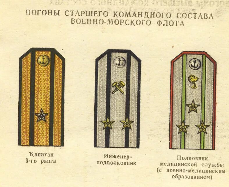 Звание инженер. Погоны ВМФ 1943 года. Погоны офицеров ВМФ 1943 года. Погоны офицеров ВМФ образца 1943 года. Погоны офицеров флота 1943 года.