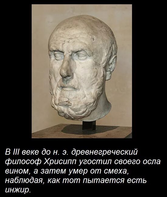 Хрисипп шутка. Умирающий от смеха человек. Философ скончавшийся от смеха. Хрисипп греческий философ. Инфаркт мем.