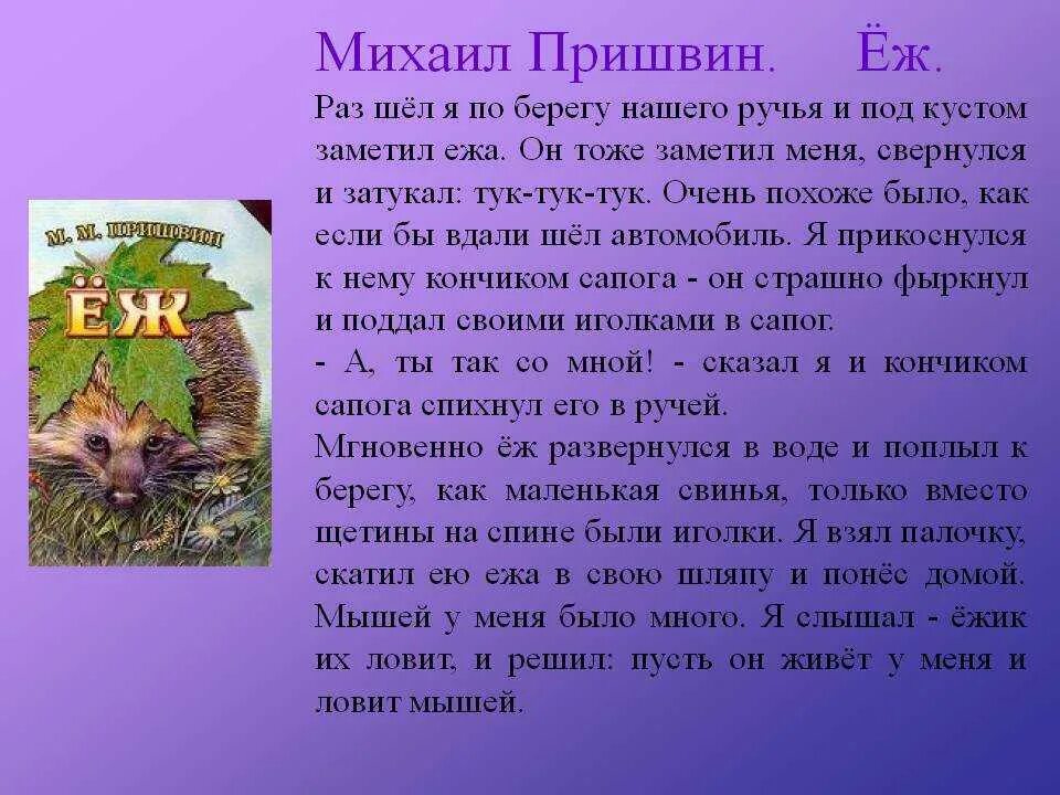 Сочинение по тексту пришвина. Михаил пришвин рассказ еж. рассказ ёж пришвин. рассказ пришвина еж. м пришвин рассказ еж.