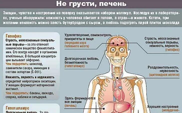 Печень и головная боль. Эмоции и болезни. Болезни печени психосоматика. Взаимосвязь эмоций и заболеваний. Болезни связанные с эмоциями.