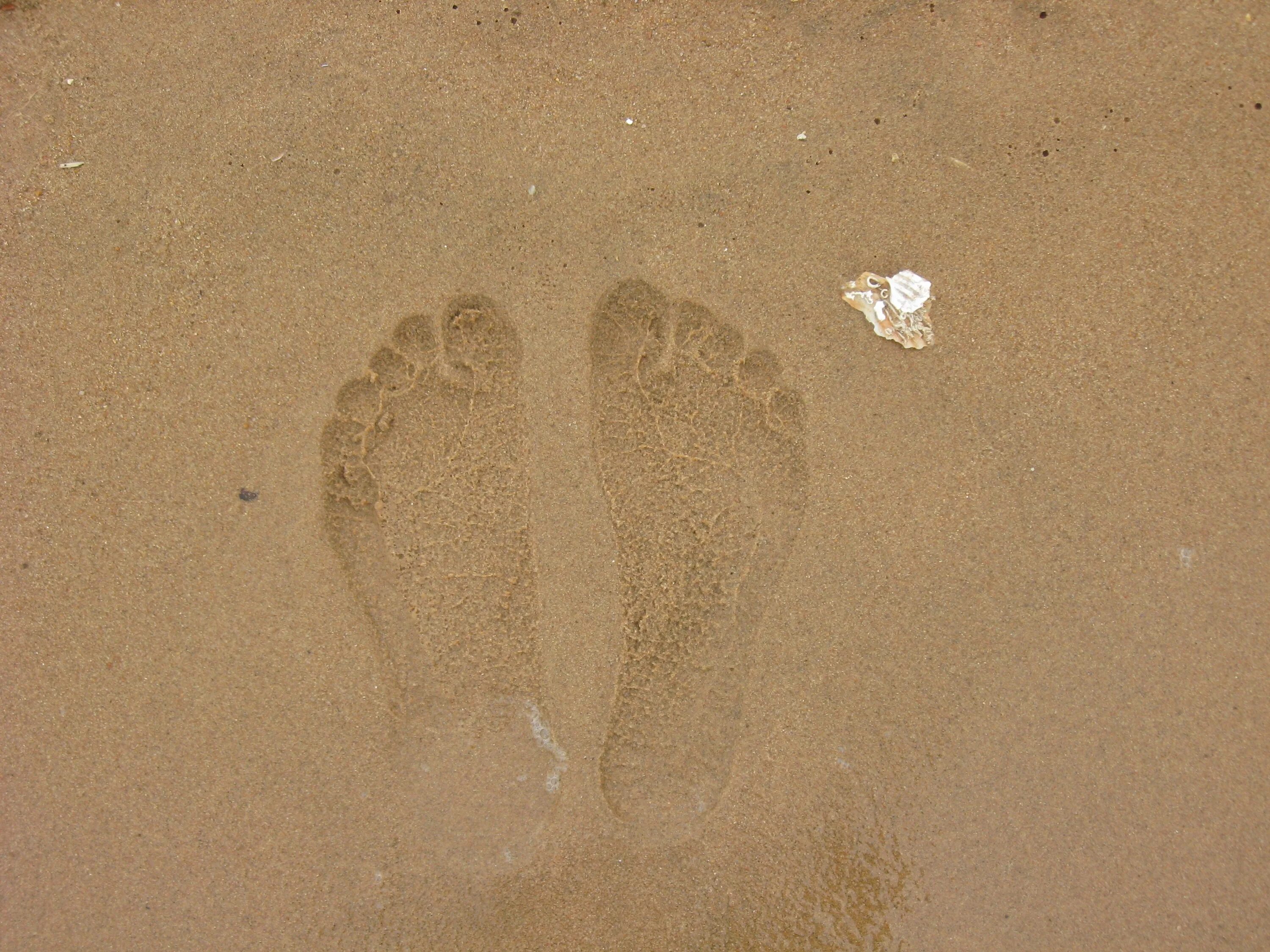 Следы на песке слушать. Следы на песке. Отпечаток стопы. Отпечаток стопы на песке. Следы на пляже.