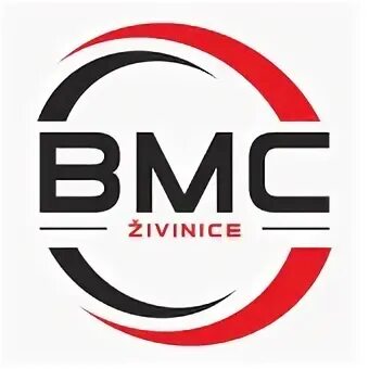 Логотип bm group. Vgs manoa тенор укулеле. Компания бм. Bm фирма. Bm logo png.