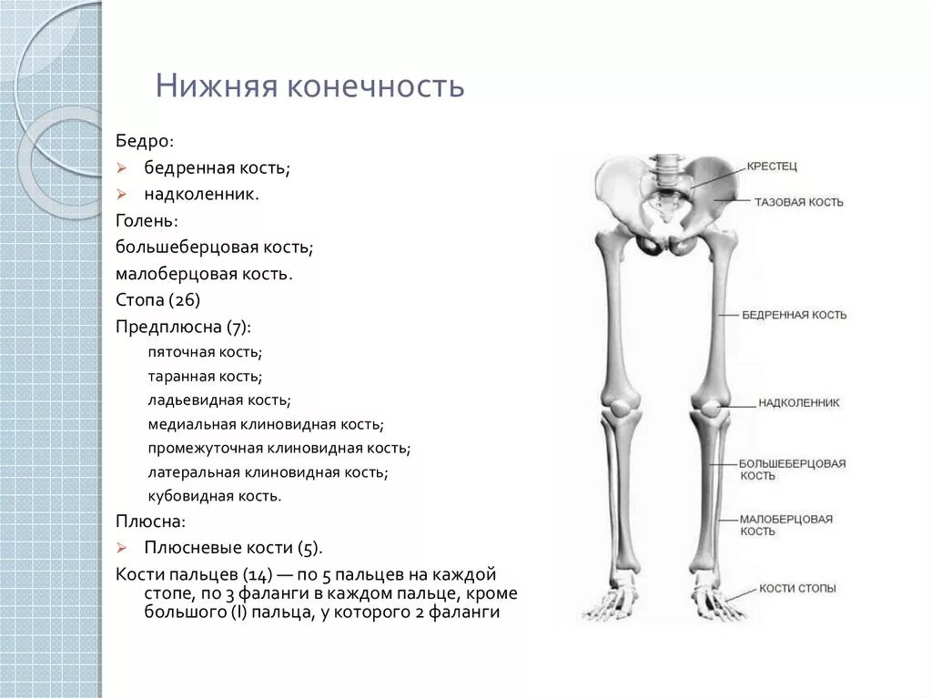 Тест нижние конечности