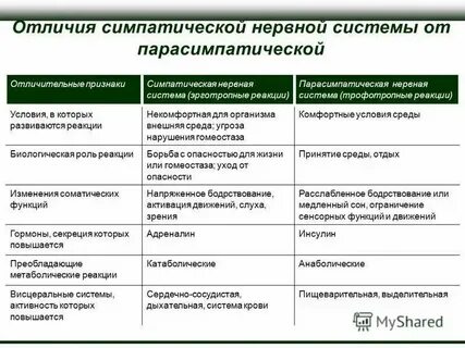Какие реакции характерны для парасимпатической нервной системы