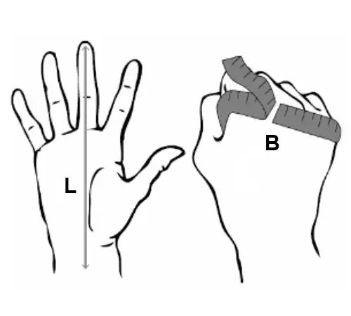 Измеритель размера перчаток. Размер перчаток мужских l xl. Обхват кисти. Размеры перчаток как определить таблица. Как определить размер перчаток.