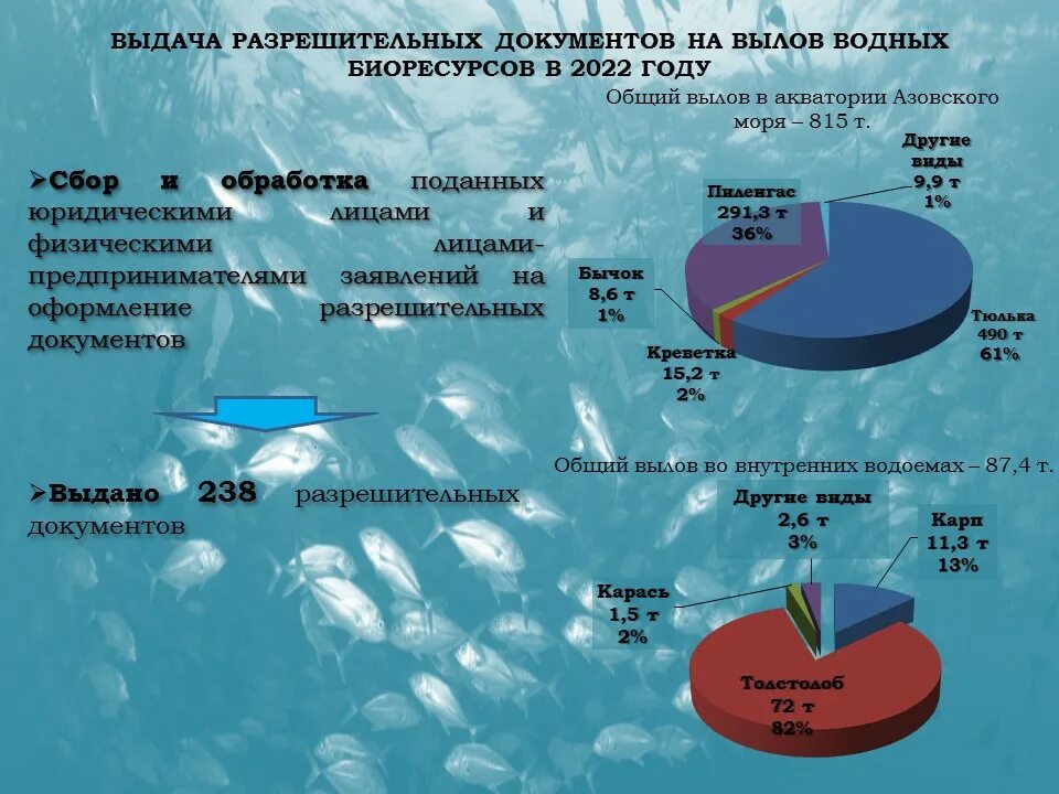 Допустимый улов. Уловы водных биологических ресурсов. Рисунок обработка водных биоресурсов. Государственное регулирование использования биоресурсов. Проблемы воспроизводства водных биоресурсов.