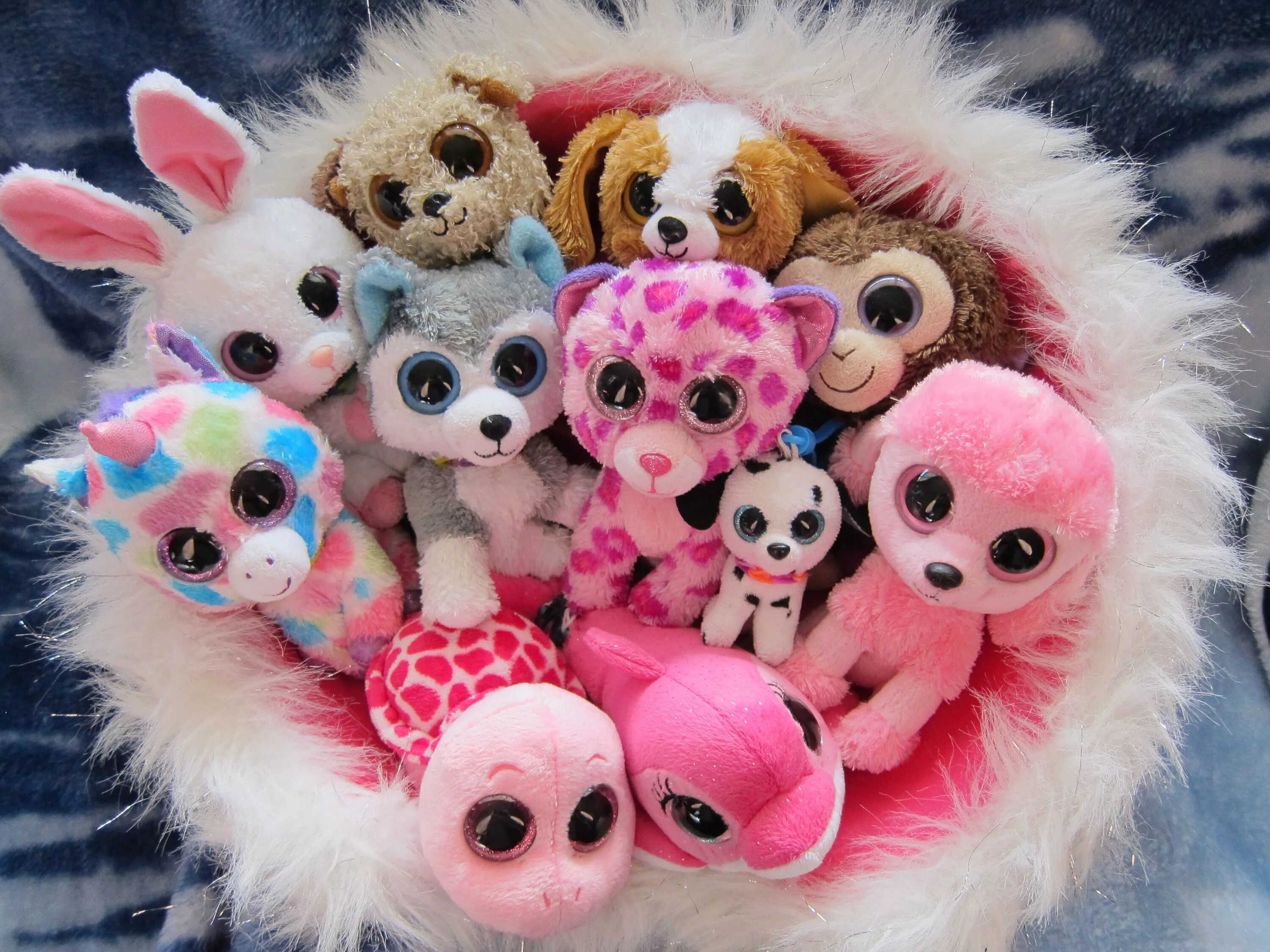 Ty Beanie Boos Глазастики. Игрушки бини Боос. Милые игрушки. Красивые плюшевые игрушки.