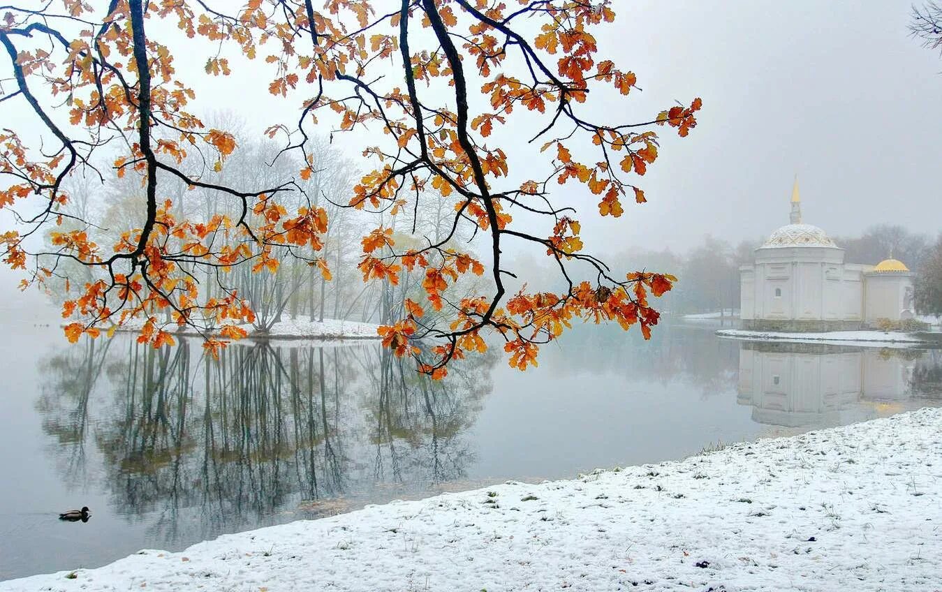 Ноябрь природа. Поздняя осень в городе. Ноябрь пейзаж. Осенний снег.