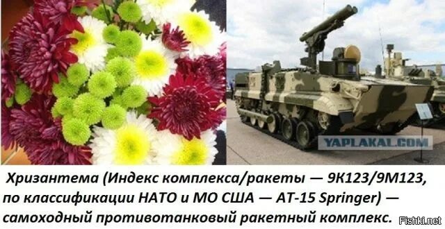 7 цветов техника