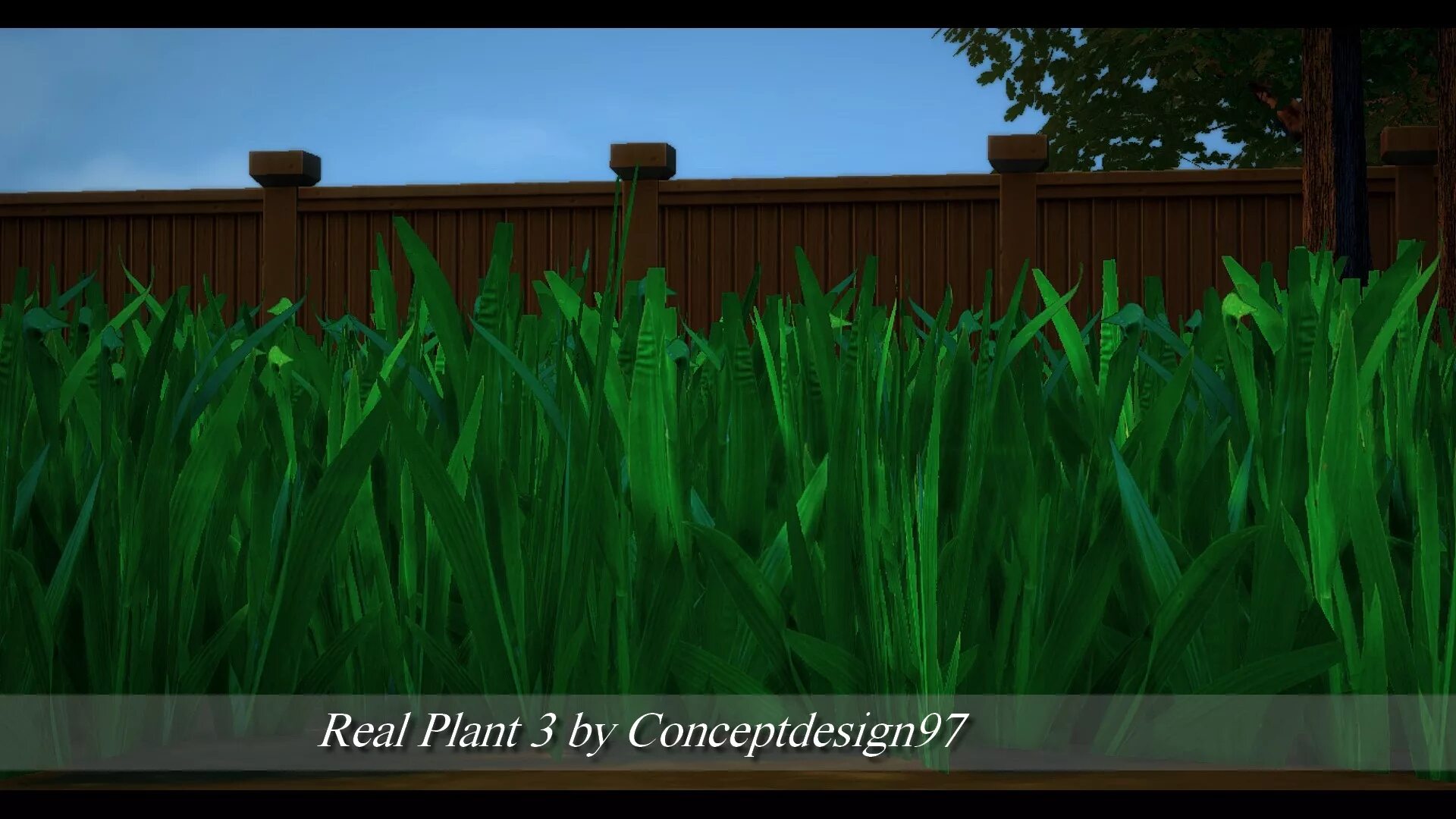 Real plant. Фото merge Plants. Oplants.