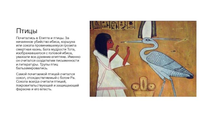 Птица ибис в древнем египте. Почитаемая в египте птица 4 буквы сканворд. Египетский ибис. Ибис символ древнего египта. Почитаемая в египте птица 4 буквы сканворд.