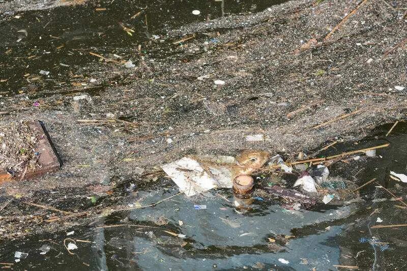 Приснилась мутная вода. Плавает в грязной реке. Плавать в грязной воде во сне.