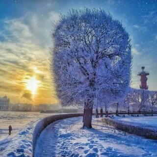Снежный город утром