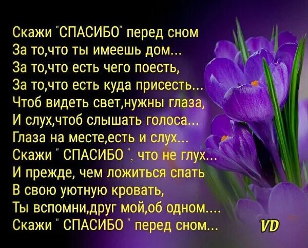 Стихотворение скажи спасибо. Спасибо перед сном. Скажи спасибо перед сном. Благодарность уходящему году в стихах. Стих спасибо перед сном.