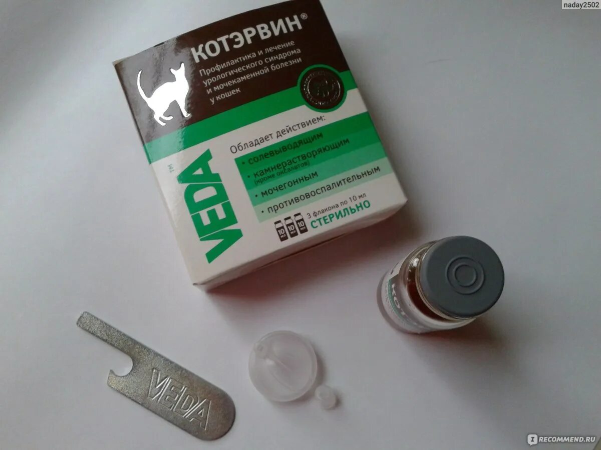 Котэрвин дозировка для кота. Котэрвин. котэрвин в капсулах. котэрвин в разных упаковках.