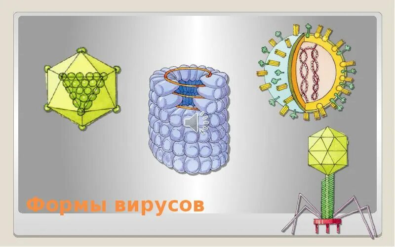 Формы вирусов. Вирусы Геометрическая форма. Вирусы неклеточные формы. Вирусы неклеточные формы жизни. Легкая форма вируса