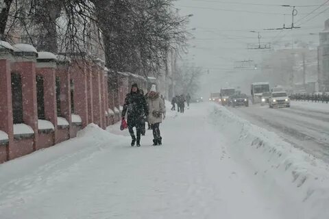 Вирус зима 2023