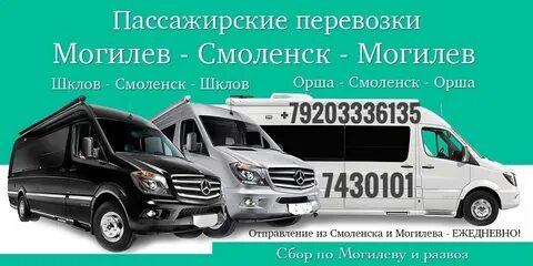 Расписание автобусов шклов