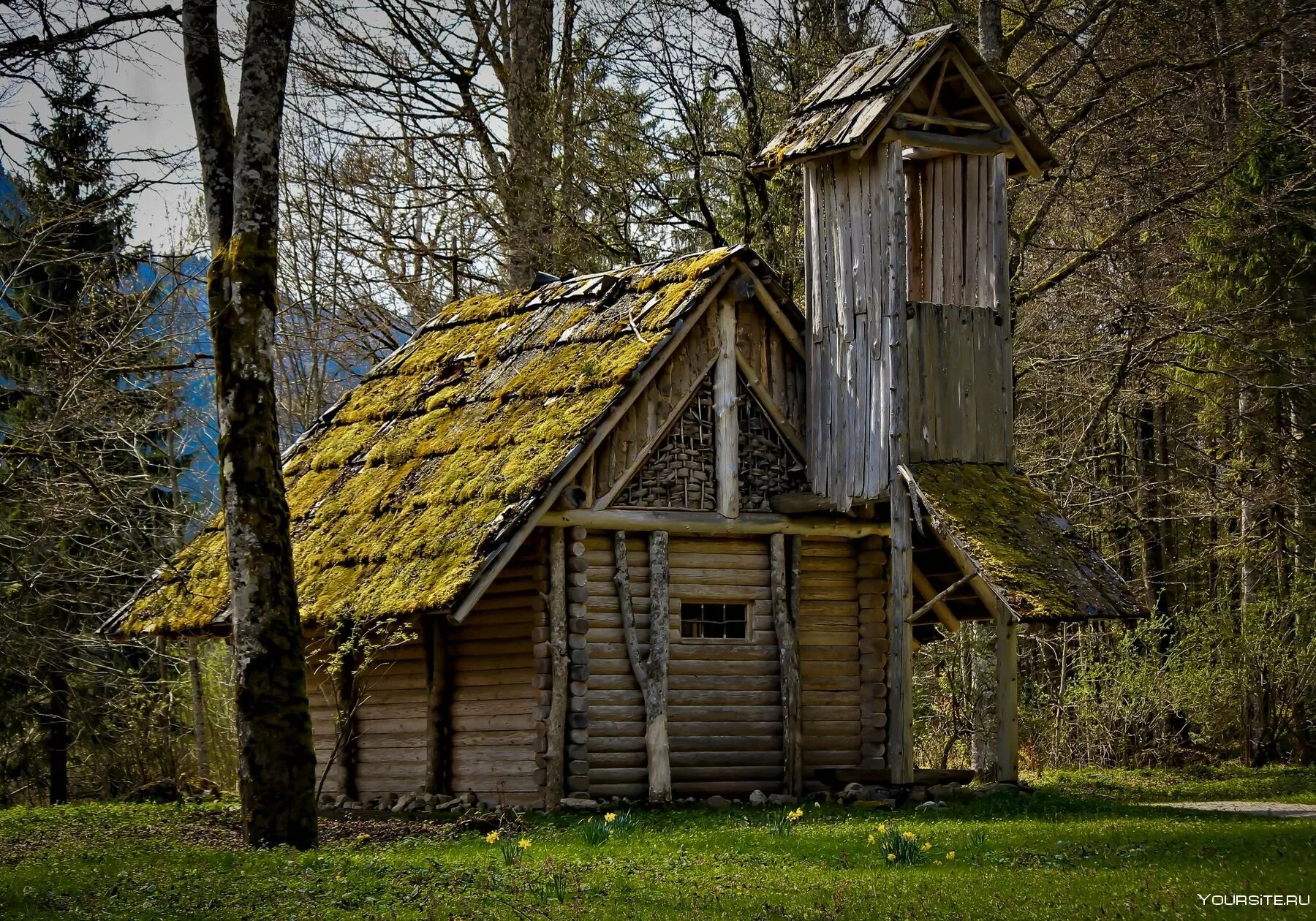 Из лесу из за дома лесничего. Сторожка лесника. Домик лесника-егеря. Домик сторожка. Домик егеря.