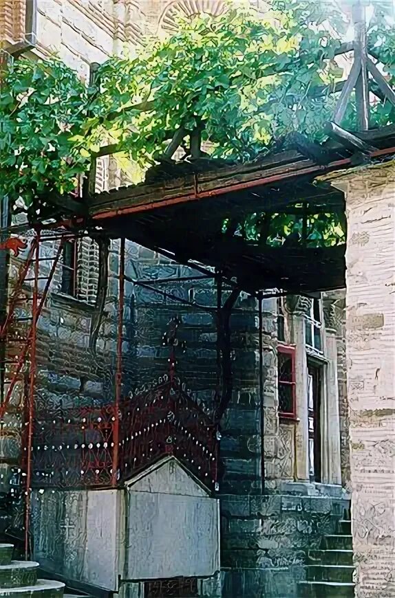 Виноградная лоза в монастыре хиландар. Хиландарский монастырь лоза святого симеона. Лоза симеона. Лоза симеона. Монастырь хиландар афон.