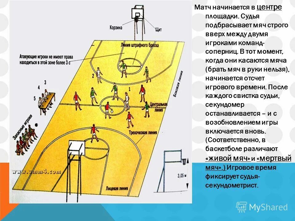 Сколько игроков может находиться на баскетбольной площадке