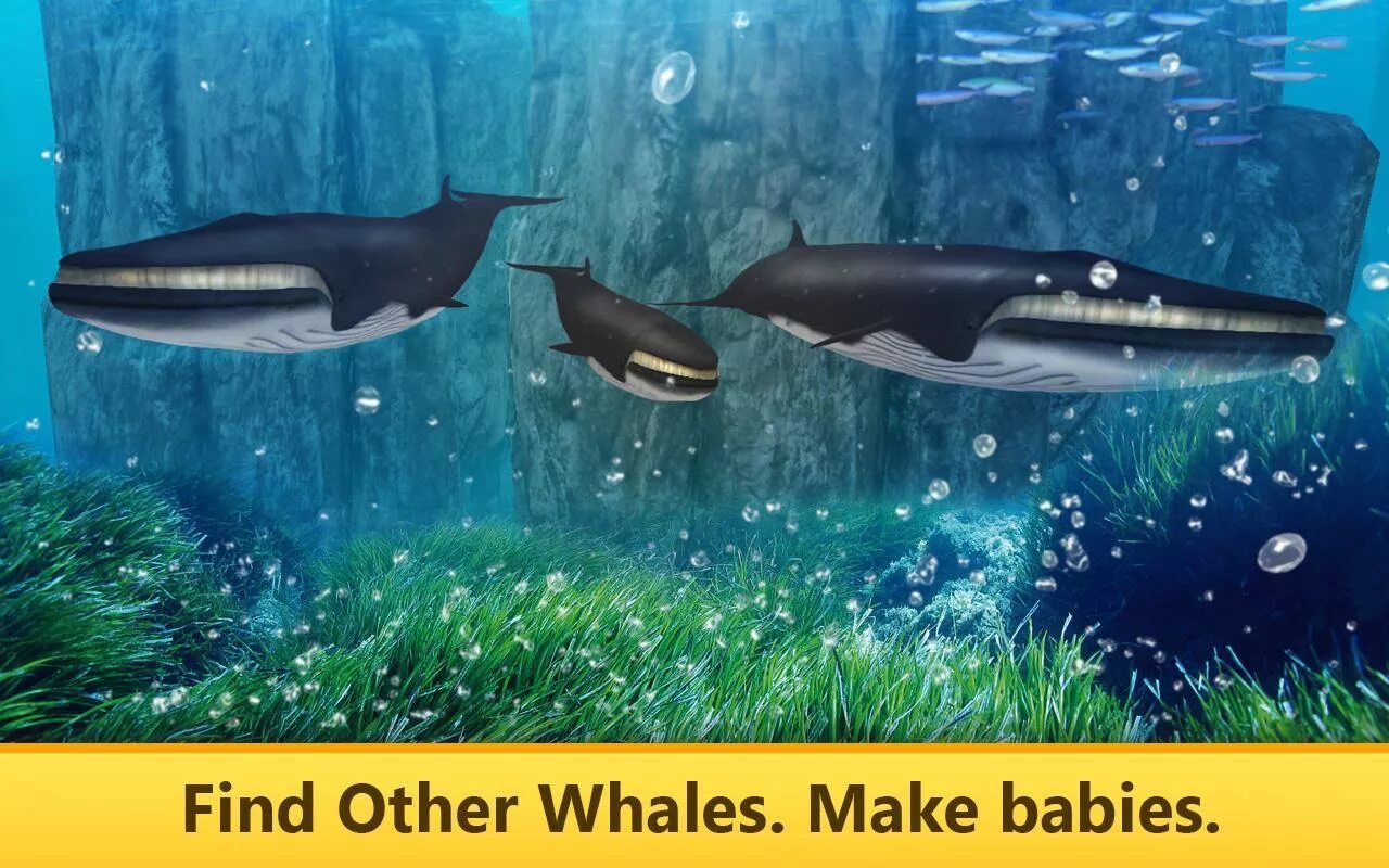 Игру симулятор кита. Симулятор океанского кита 3d. Игры киты 3д. Игры океанского кита. Симулятор океанской черепахи.