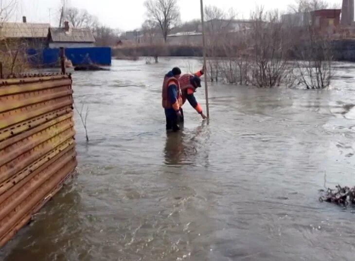 Замер уровня воды в реке. Подъем воды. Подъем воды в реке. Поднятие дна наводнение. Подъем уровня воды.