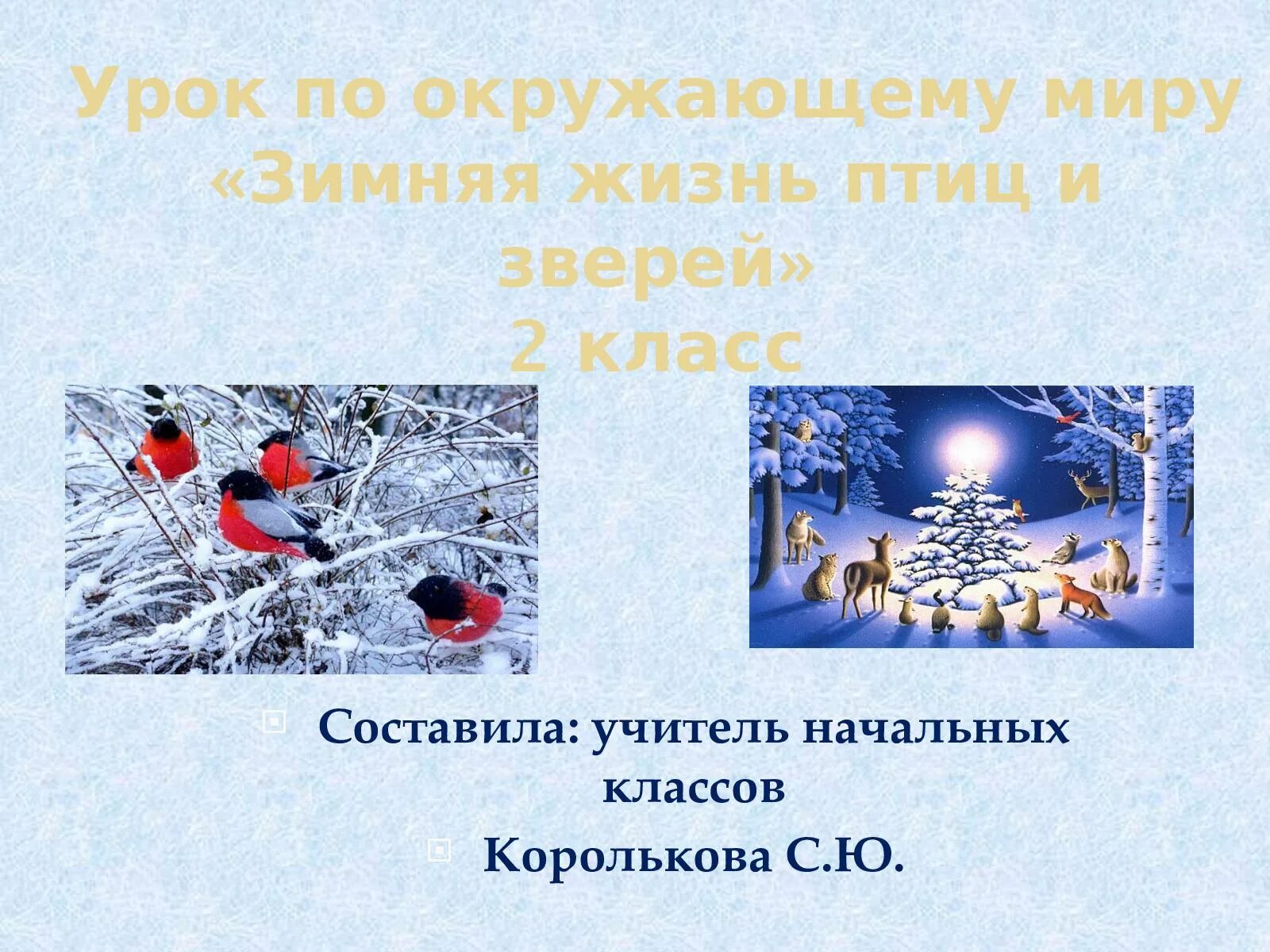 Растения и животные зимой. Жизнь животных зимой. Поведение птиц зимой. Изменения в жизни животных зимой. Зимняя жизнь птиц и зверей 2 класс.