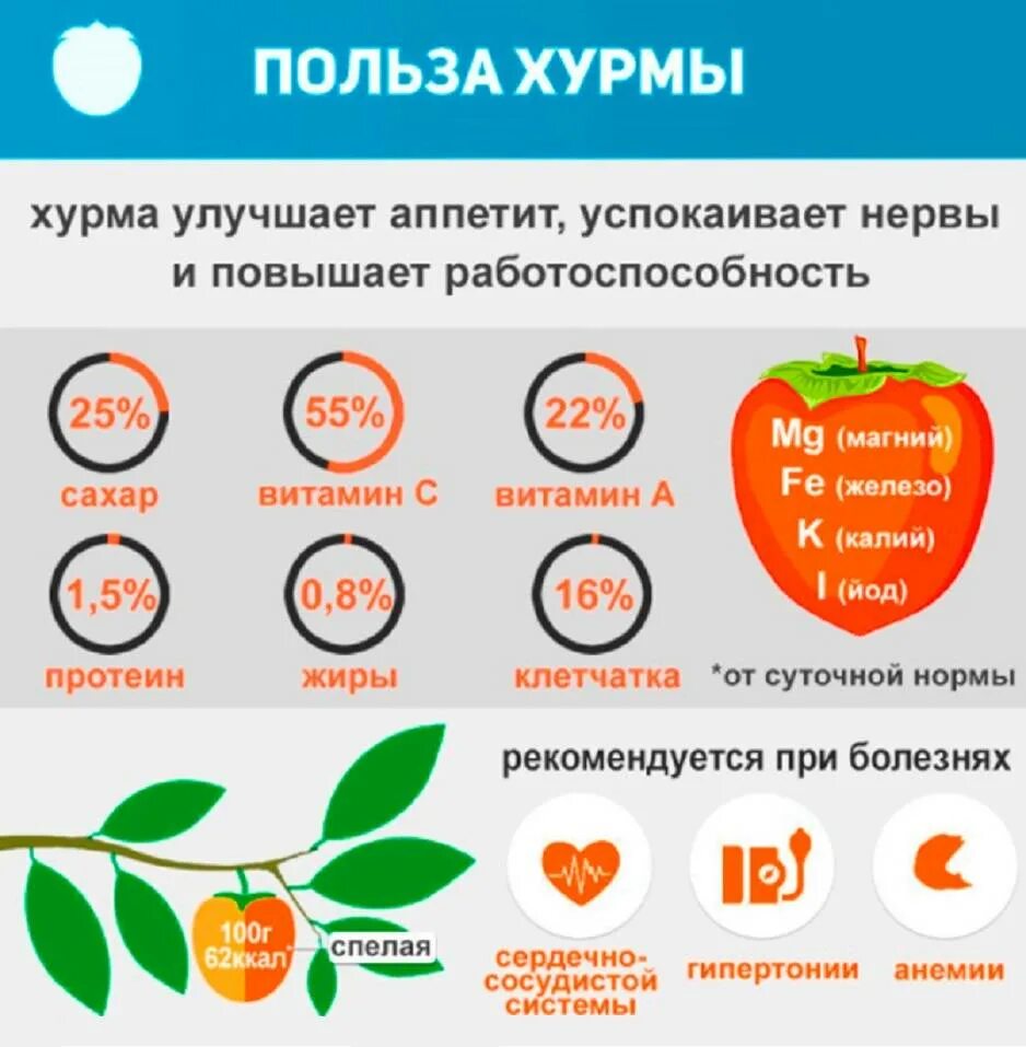 Хурма полезные свойства и противопоказания для женщин. Чем полезна хурма. какие витамины в хурме. полезные витамины в хурме. польза хурмы.