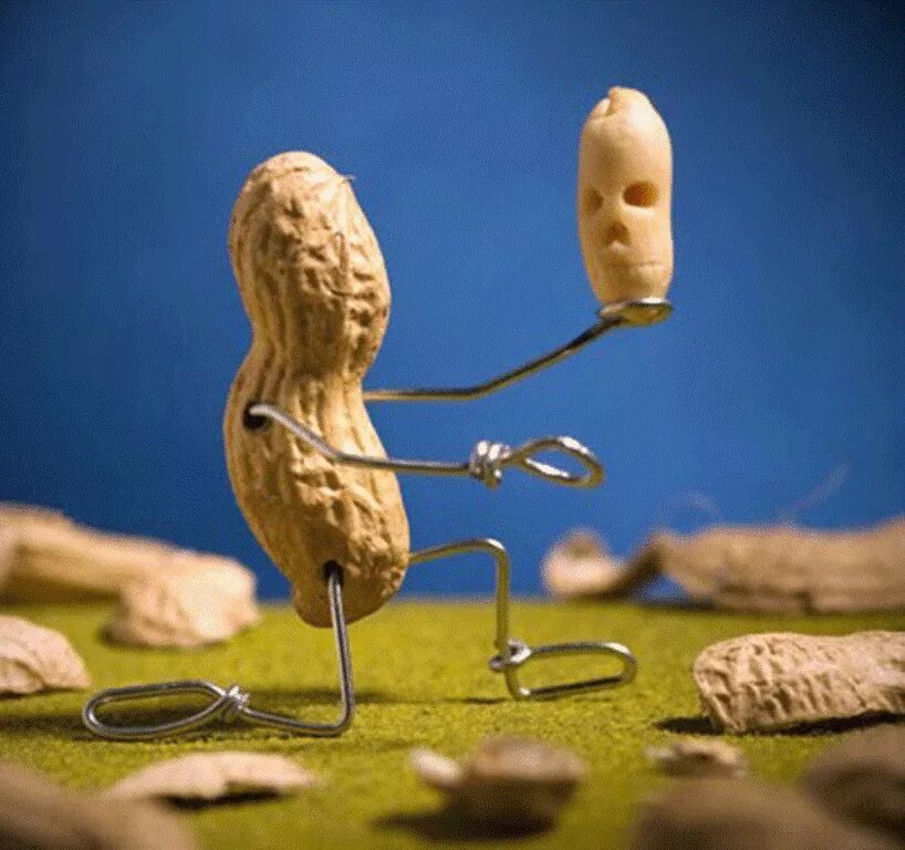 Художники кестутис каспаравичюс. Представляю предметы живыми. Представляю предметы живыми. Живые бытовые вещи. Представляю предметы живыми.