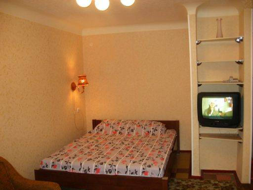 снять однокомнатную в донецке