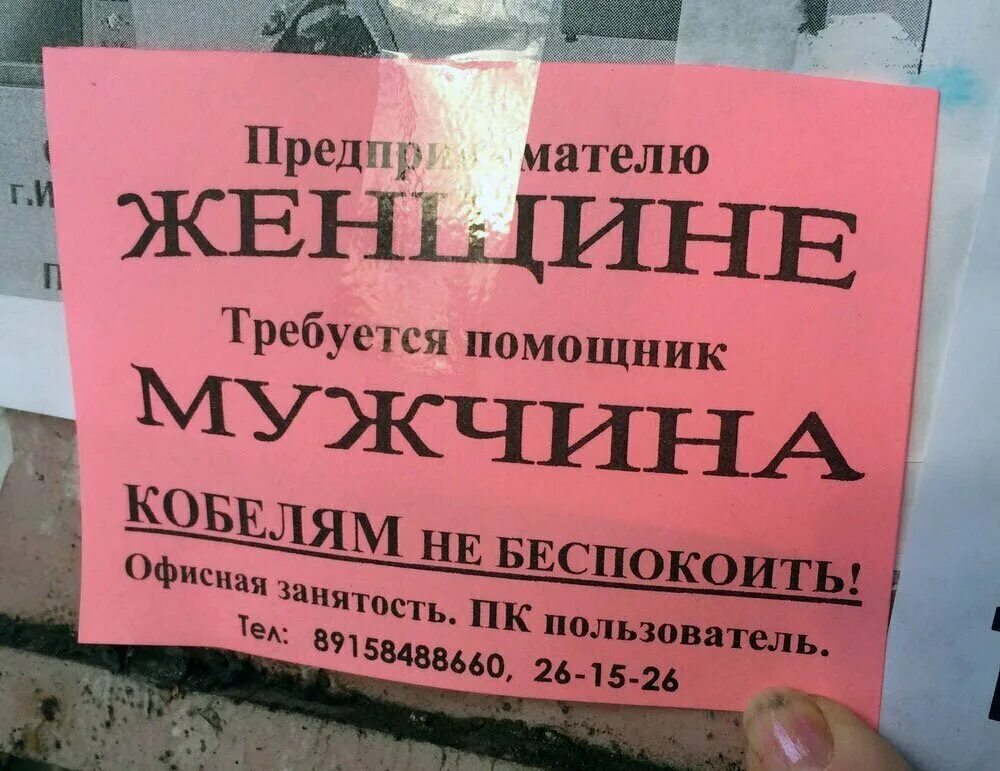 Смешные шуточные объявления. Смешные креативные объявления. Смешные объявления о продаже квартиры. Смешные объявления о продаже квартиры. Смешные объявления.