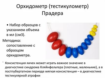 орхидометр: 619 изображений найдено в Яндекс Картинках