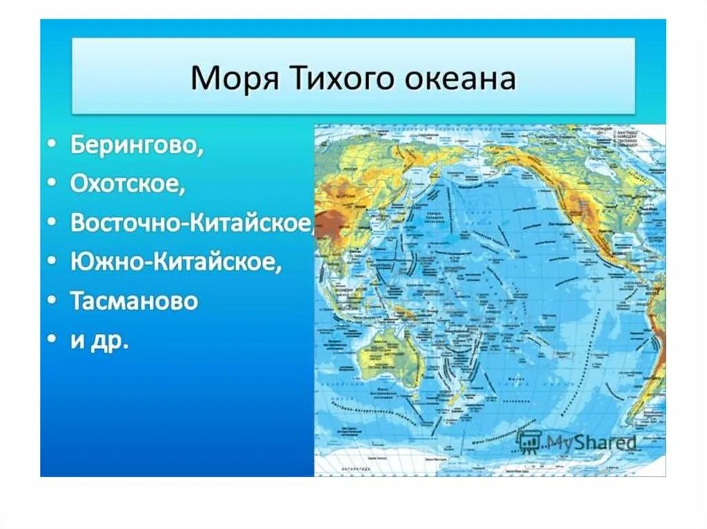 Тихий океан перечислить моря