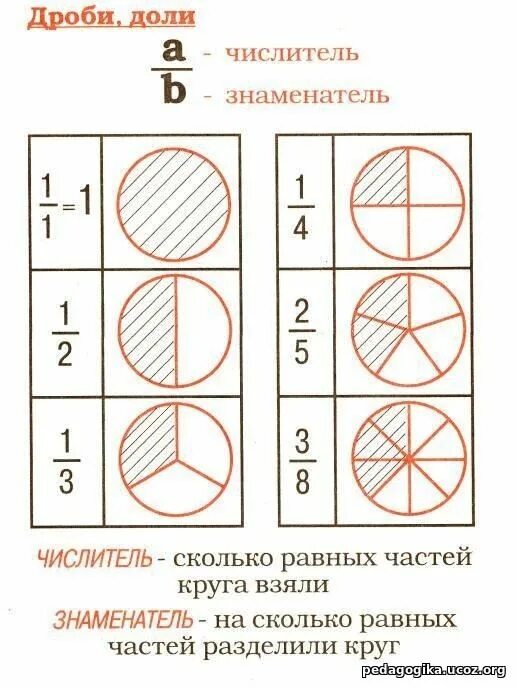 Доли и дроби. Доли и дроби 3 класс. Плакат доли и дроби. Доли и дроби 4 класс. Математика 3 класс 2 часть дроби