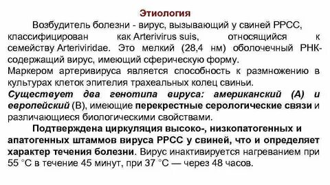 Вирус респираторного синдрома