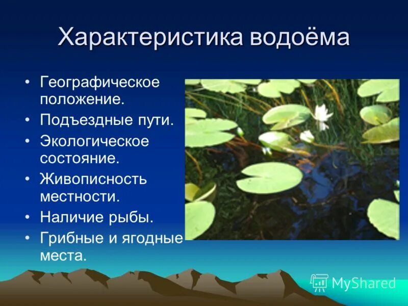 Характер водоема. Особенности водоемов. Описание водоема. Особенности пруда. Условия открытых вод