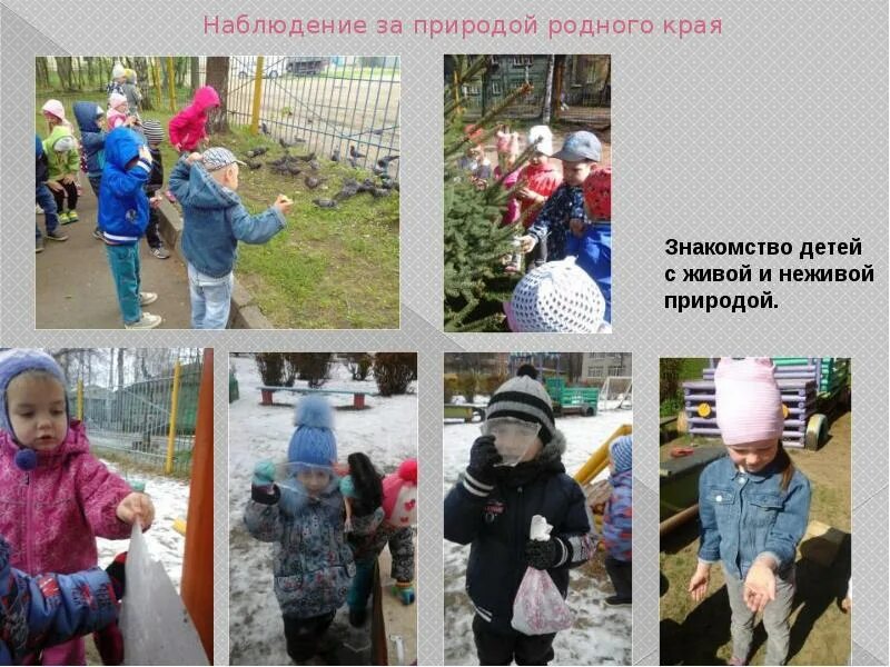 Наблюдения в природе 5 класс. Наблюдение за природой родного края. наблюдение за природой 2 класс. наблюдение за неживой и живой природой в детском саду. наблюдение за природой весной 2 класс.