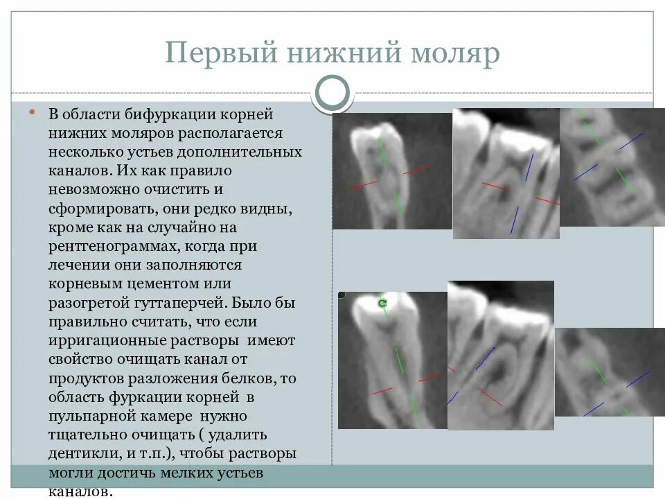 Несколько устьев