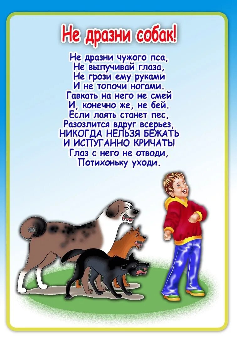 Стихи про собаку для детей. Стихи. Стихи про безопасность для детей. Правила безопасности для детей в стихах. Стихи о собаках для де ей.