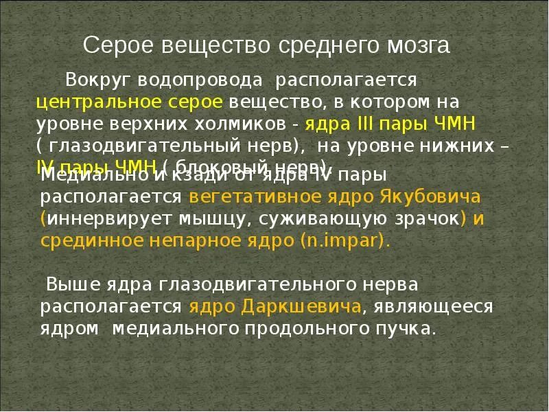 Ядра центрального серого вещества среднего мозга. Функции серого вещества среднего мозга. Центральное серое вещество среднего мозга функции. Центральное серое вещество функции. Что находится в сером веществе