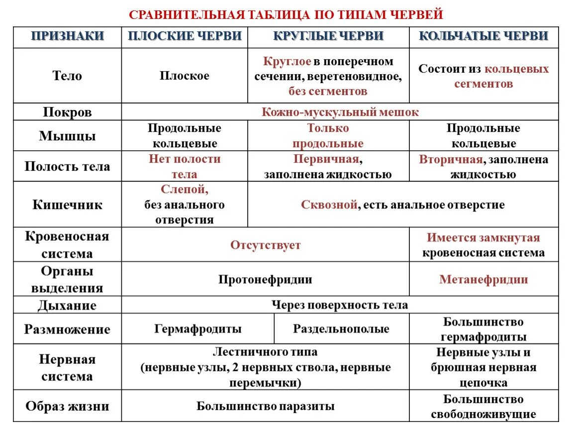 Признаки класса черви. Сравнительная характеристика плоских червей биология 7 класс. Признаки плоских червей таблица 7 класс. Сравнительная характеристика плоских червей таблица 7 класс. Общая характеристика круглых и кольчатых червей 7 класс.