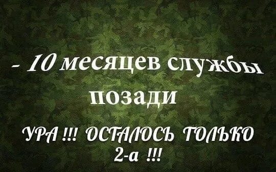 Месяцы службы в армии картинки. 10 Месяцев службы в армии. 10 Месяцев службы в армии позади. 2 Месяца службы. Два месяца службы в армии.