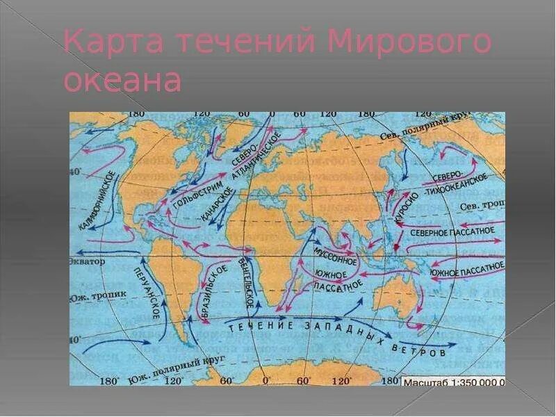 Карта течений. Карта всех течений мирового океана. Тёплые и холодные течения на карте. Холодные теплые течения в океанах.