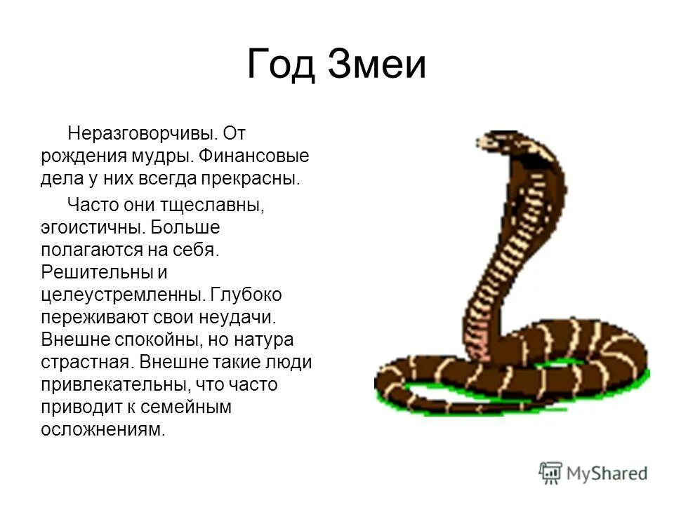 какой характер у змей. какой характер у змей. общая характеристика змей.