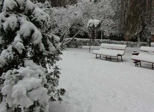 Январь брянск. Курган брянск зимой фото. Январь брянск. Дом связи брянск. Курган брянск зимой фото.